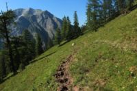 2015-07-01_1Pano-bei-Lacke (307).JPG